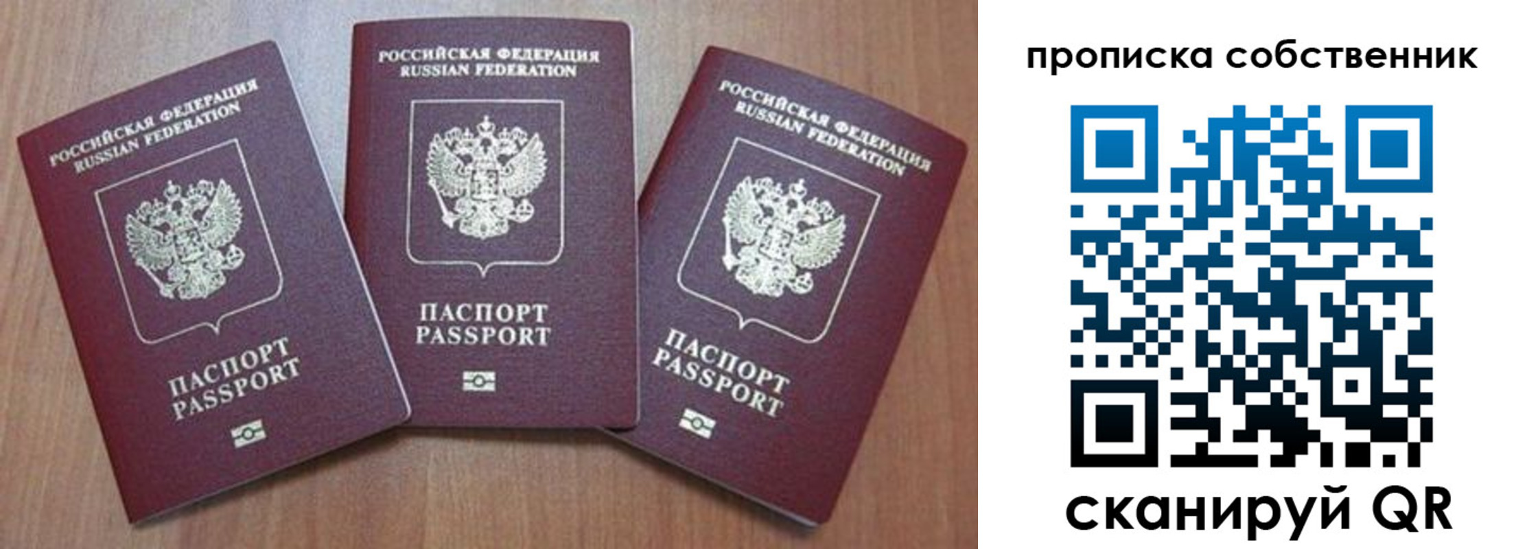 временная регистрация гарантия в Палласовке